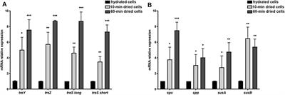 Biomarker Preservation and Survivability Under Extreme Dryness and Mars-Like UV Flux of a Desert Cyanobacterium Capable of Trehalose and Sucrose Accumulation